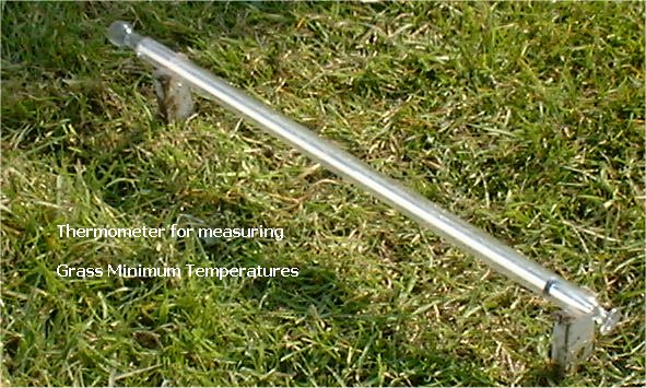 Grass Minimum Thermometer